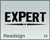 Headsign Expert
