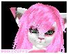 Pinkfluffy pink snow cat