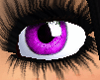 gorgeous purple eyes