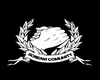 Arm' Scream Comunitty