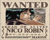 Robin Wanted Poster