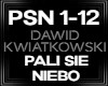 Dawid Pali Sie niebo