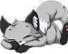 R Sleeping Grey Fox