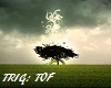 Tree Of Forgiveness int