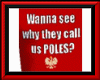 Poles T-Shirt