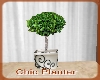 (VM) Chic Planter