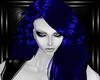 blue haleigh hairs
