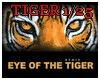 [P]Eye OfThe Tiger-Dance
