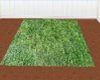 grass floor
