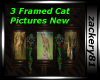 3 Framed Cat Pictures 
