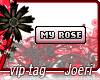 j| My Rose