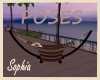 Island Club Hammock