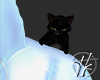 TK | CAT ANIMATED BLACK