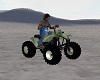 ATV - Desert Camo