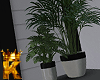 Modern Plant Set | 👑