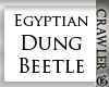 Egyptian Dung Beetle ||G