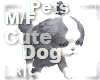 R|C Cute Dog Bi Grey MF