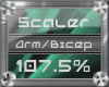 (3) Arm/Bicep (107.5%)
