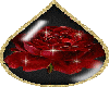 sparkling red rose
