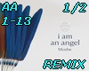 AA1-13-ANGEL-P1