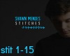 Shawn Mendes: Stitches