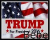 Trump Election Sticker 