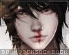 𝒔. stillness [HAWK]