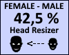Head Scaler 42,5%