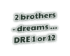 2 brothers - dreams will
