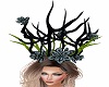 Forest Crown/Gee