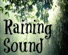 Hee Raining Sound Effect