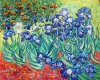 Van Gogh Flower