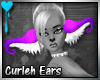 D~Curleh Ears: Purple