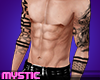 Virrs Arms