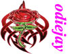 celtic rose