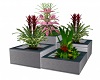 Tropic Planter v3