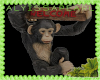 Cafe Welcome Monkey