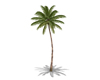 Animated Palm