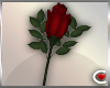 *SC-Red Rose Boutineer