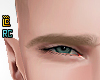 r. Hérmes Eyebrow