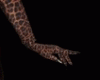 A**Leopard Gloves