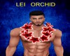 LEI ORCHID
