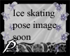 SnowFlake Ice Skates 
