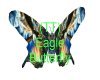 (TT) Eagle Butterfly