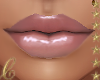 Lip Gloss - Pro Head