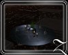~Z~Shades Coffee Table