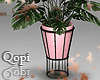 Pink Vase Plant