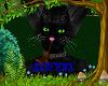 black cat fur