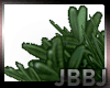 JBBJ- Rosemary