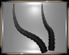 Gemma Horns V.1